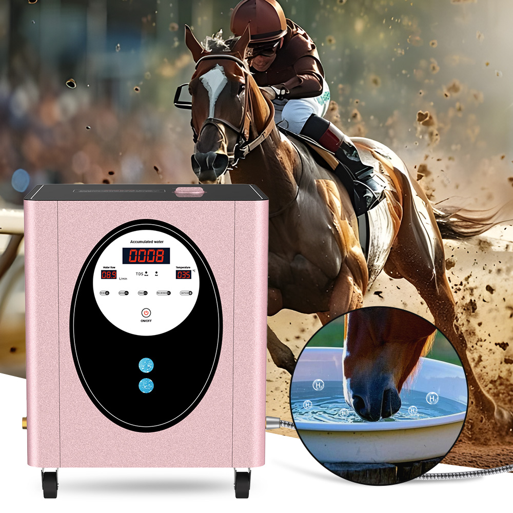 Health Wellness Club - SUYZEKO Whole House Hydrogen Water Machine