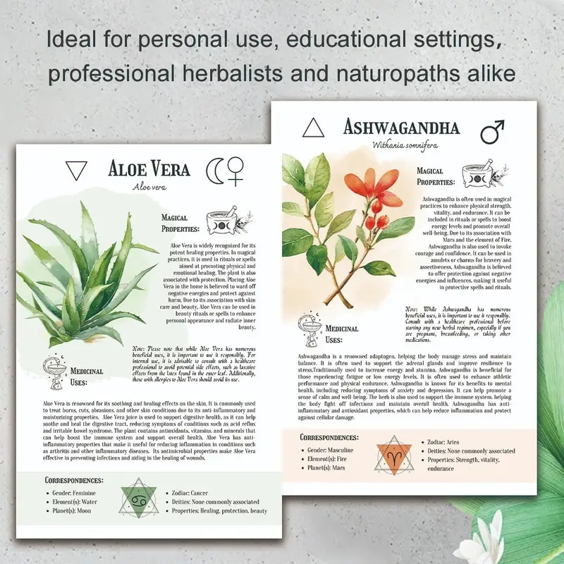 Natural Remedies Handbook with - Health & Wellness Lubbock review and price