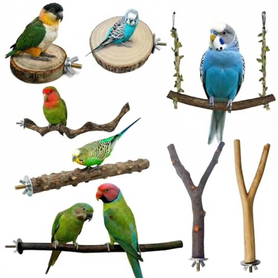 8PCS natural wood bird perches - Health & Wellness Lubbock review and price