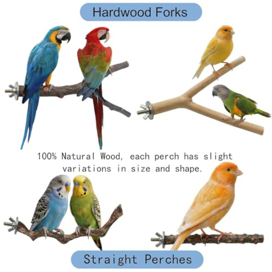 8PCS natural wood bird perches - Health & Wellness Lubbock review and price
