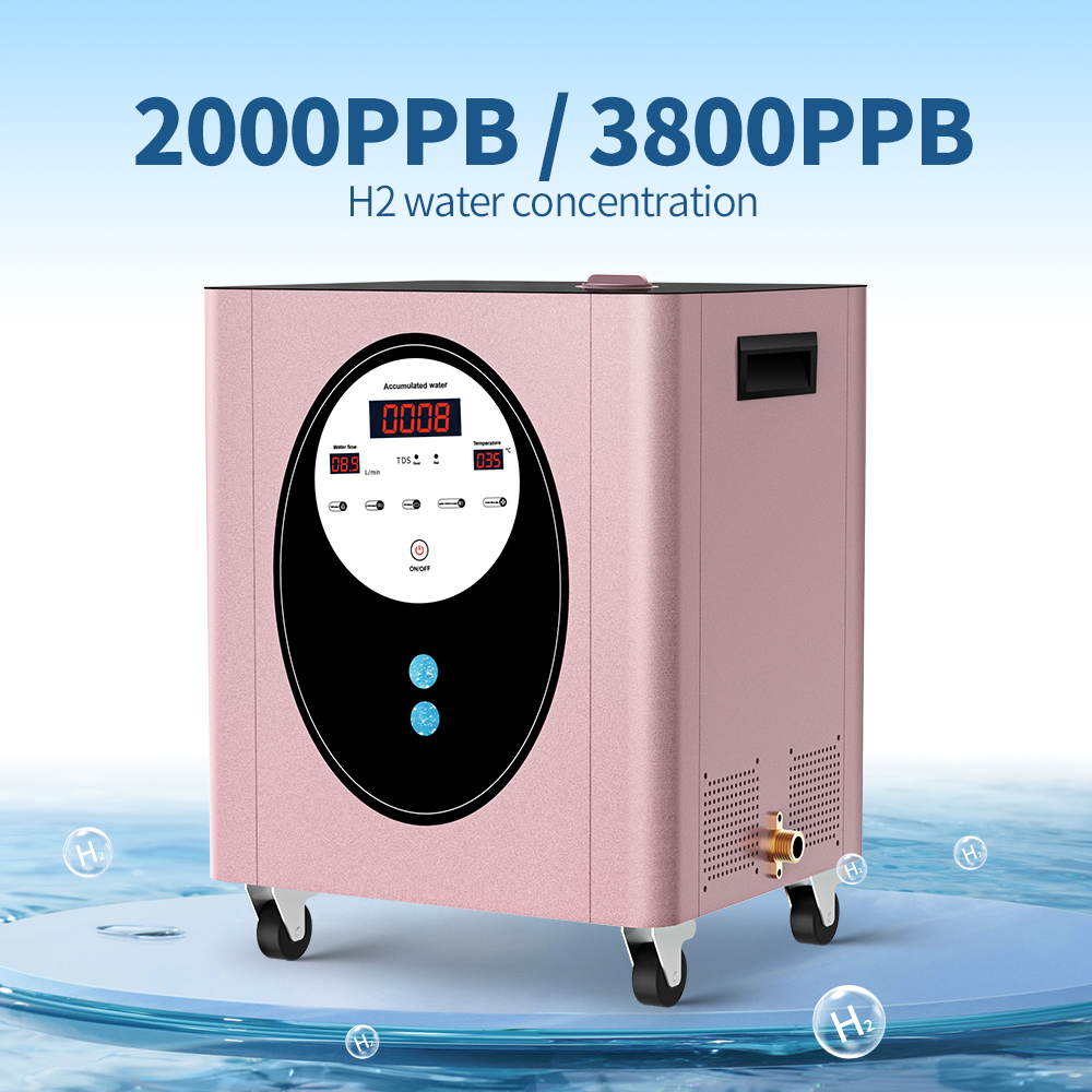 SUYZEKO Whole House Hydrogen W - Health Wellness Club review and price